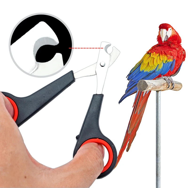 กรรไกรตัดเล็บสัตว์เลี้ยงขนาด 1 - Grooming Scissors บทวิจารณ์และราคา